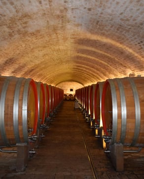 Guided Through Five Wineries
