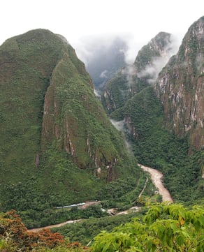 Jungle Hike