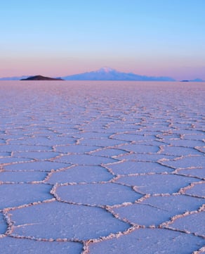Salt Flats and Llama Chases