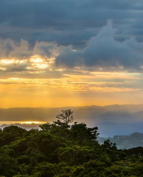 Monteverde's Hanging Bridges