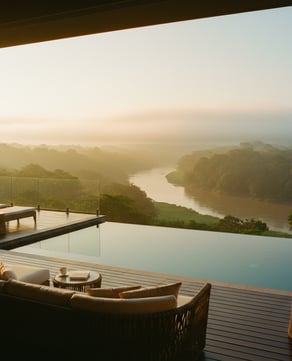 Golden Rainforest Dawn