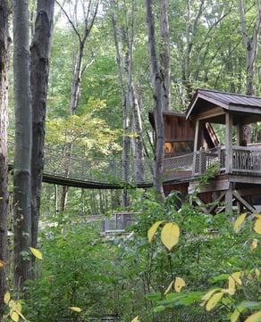 Magic Treehouse