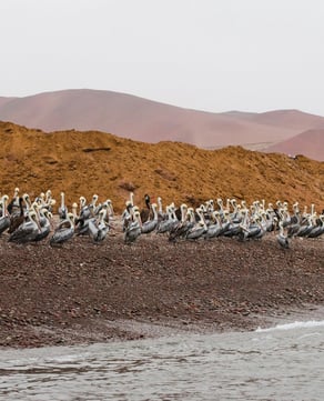 iSimangaliso Wetland Park
