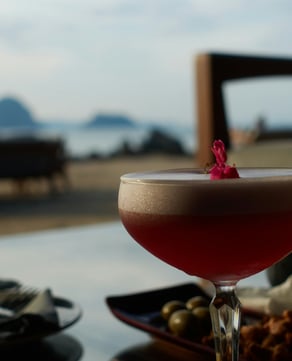 Welcome Cocktail & Olives