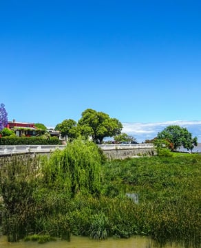 Irurtia Winery