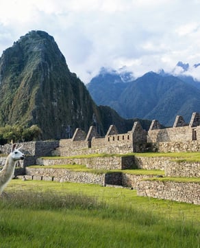 Machu Picchu