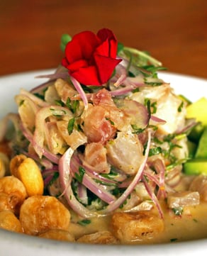 Ceviche Mixto