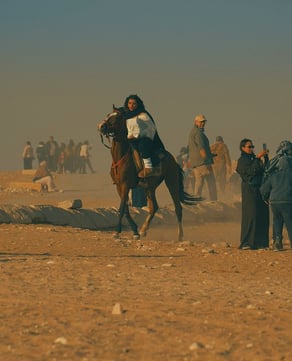Camel Rides