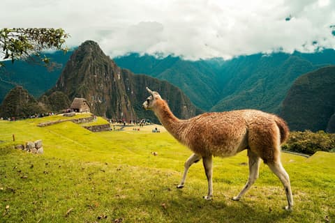 Cultural Competence for Global Travelers