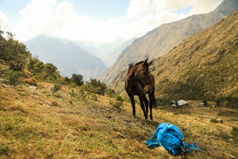 Pack Smart, Travel Light